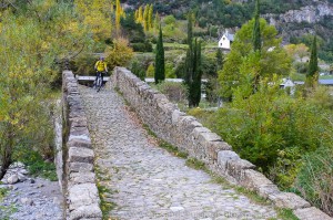 Camino de Santiago