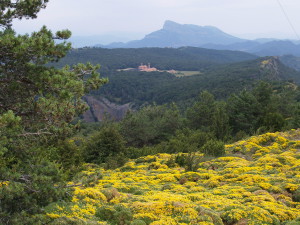 Jacetania y valles occidentales